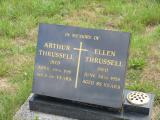 image of grave number 343795